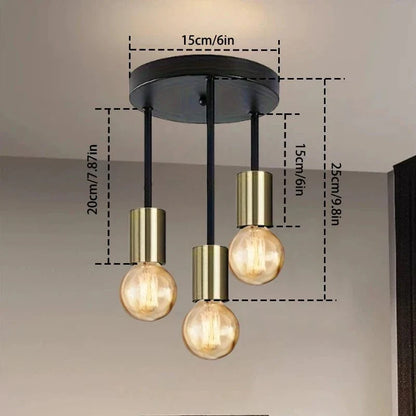 Aureum Loft Ceiling Light